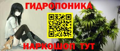 СК Ликино-Дулёво