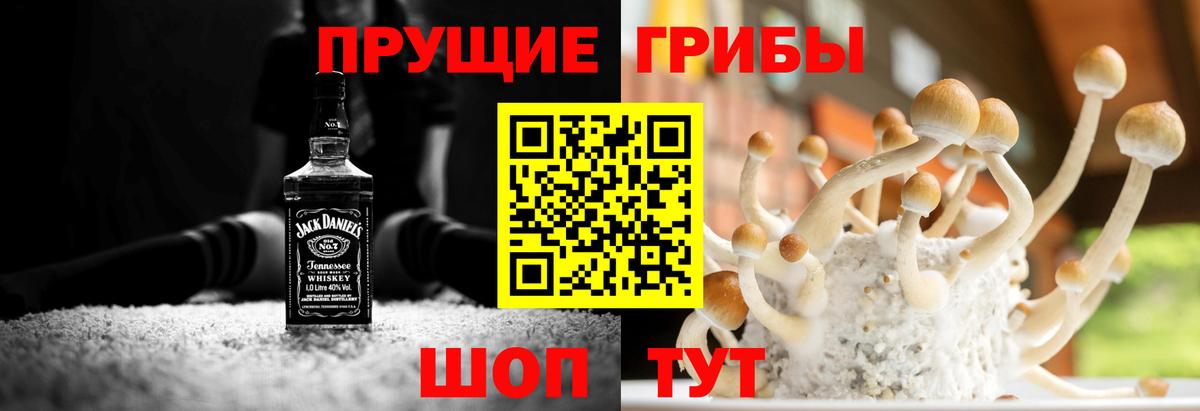Псилоцибиновые грибы Cubensis  Вход с VPN  Арсеньев 